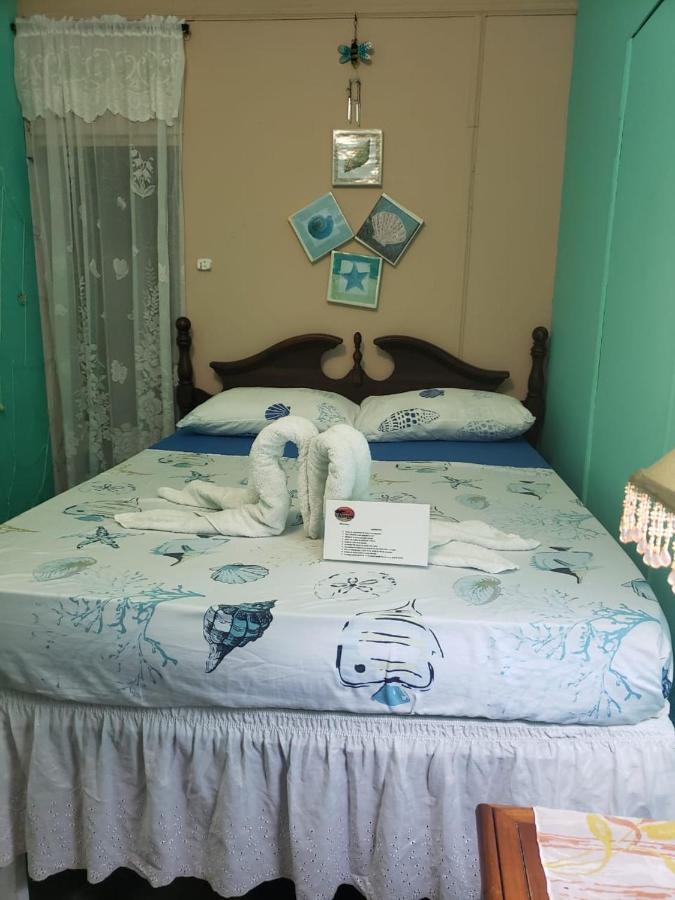 Hostel Posada Nativa Trinsan Centro San Andrés Zewnętrze zdjęcie